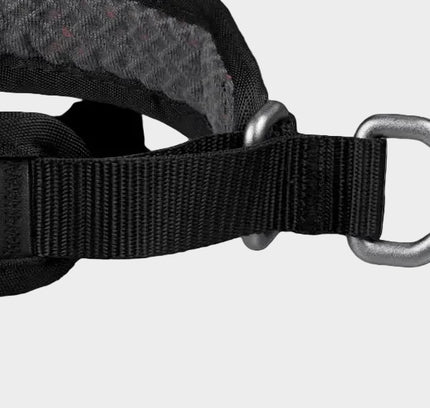 Rock collar 3.0