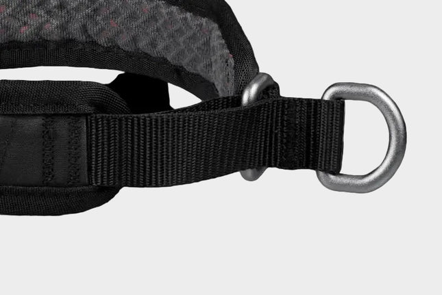 Rock collar 3.0