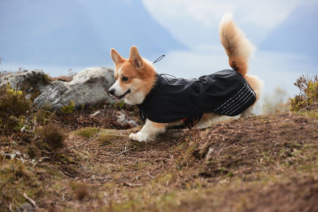 Fjord raincoat
