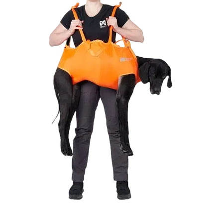 Dog rescue sling
