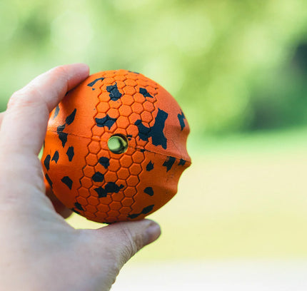 Dog ball