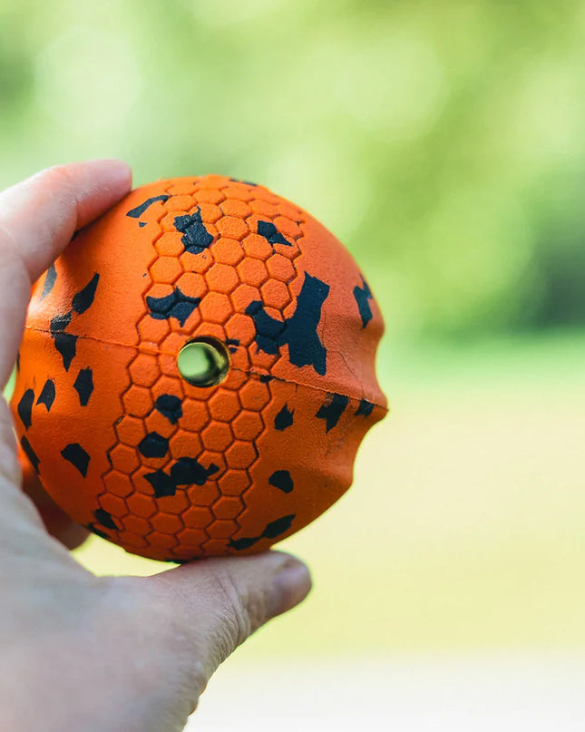 Dog ball