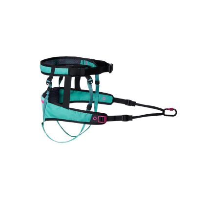 CaniX belt 2.0