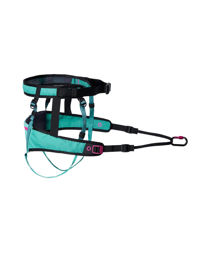 CaniX belt 2.0