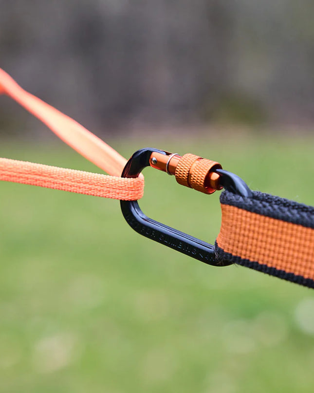 Canix belt pro