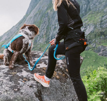 Canix warm-up pants women's