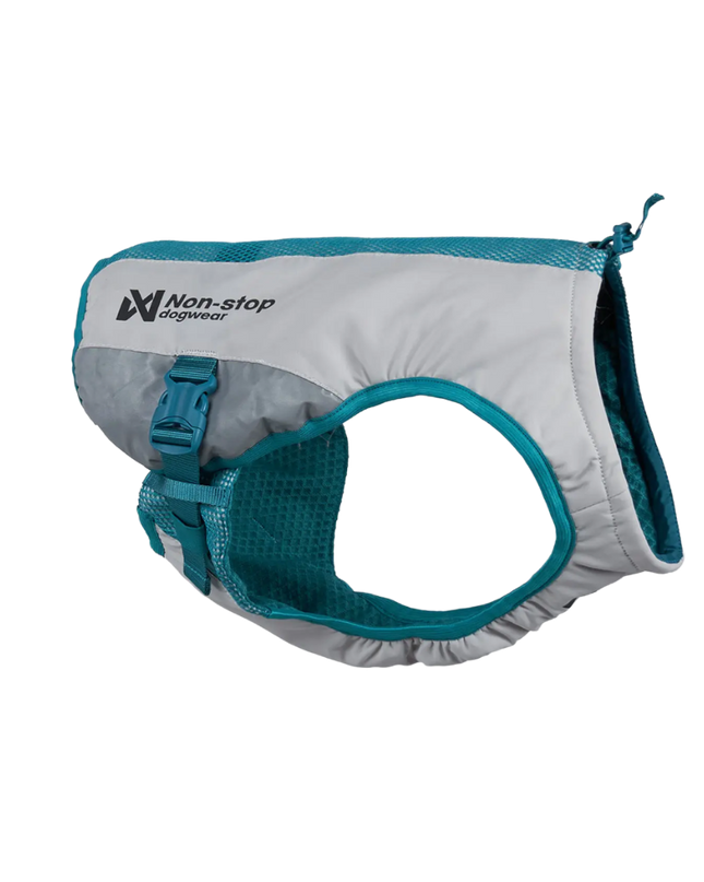 Cooling vest