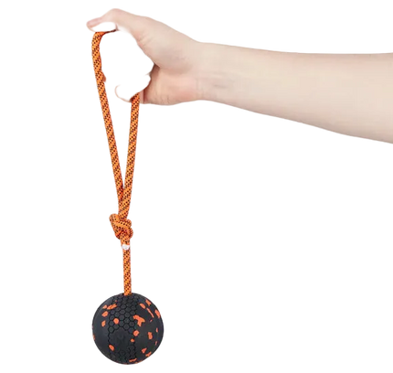 Dog ball on rope