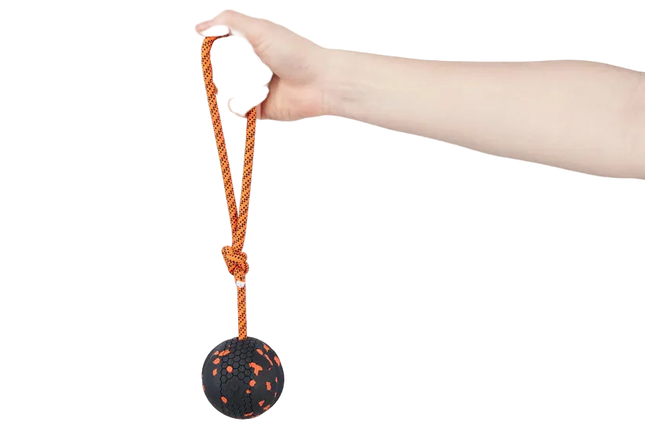 Dog ball on rope