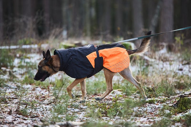Glacier jacket 2.0