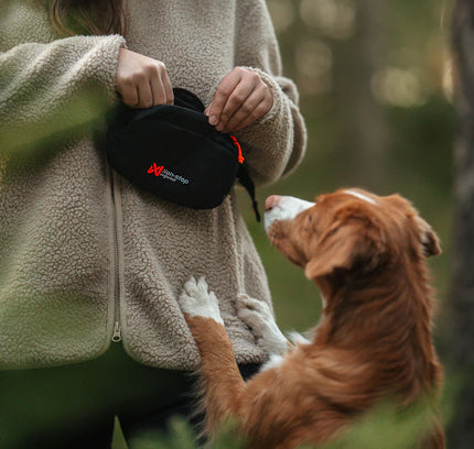Trail quest fanny pack