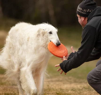 Dog flying disc