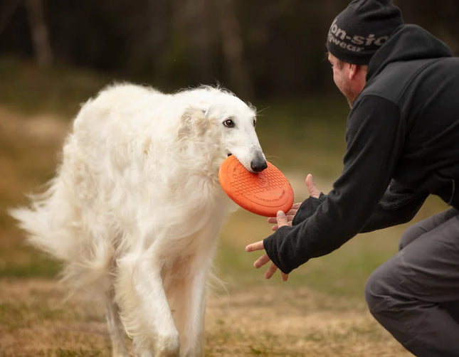 Dog flying disc