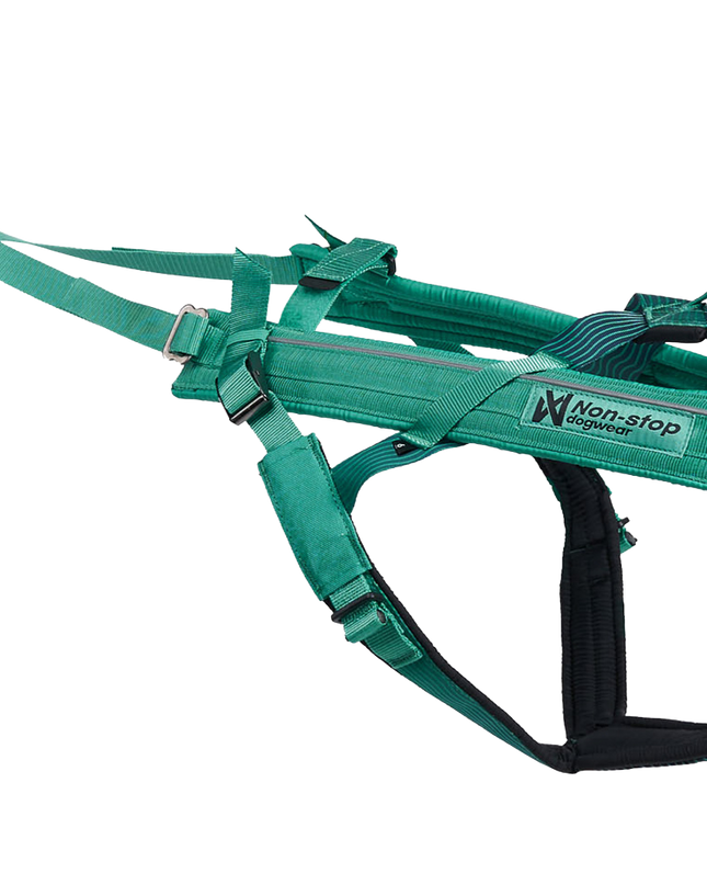 Freemotion harness 5.0