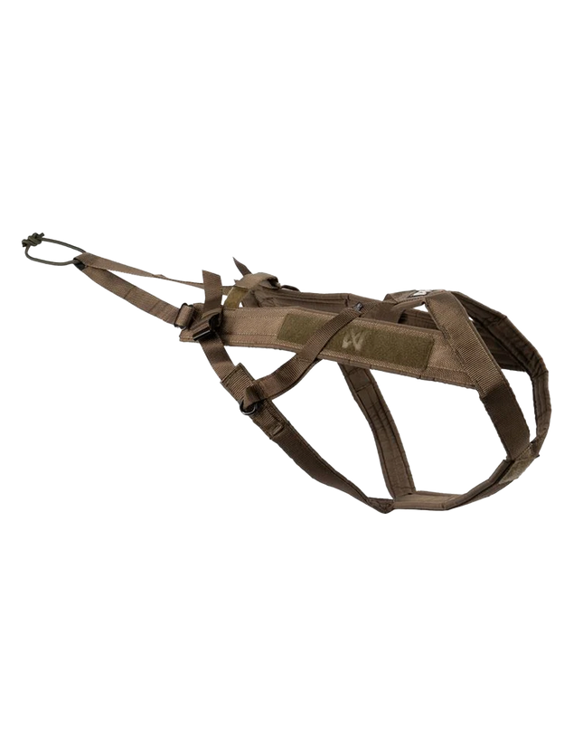 Freemotion Harness WD