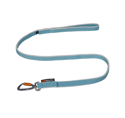 Bungee leash