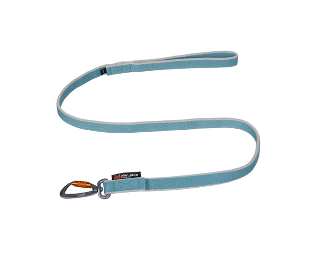 Bungee leash