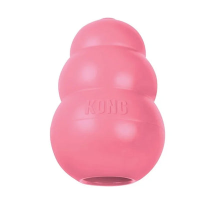 Kong puppy