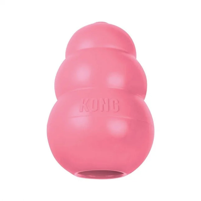 Kong puppy