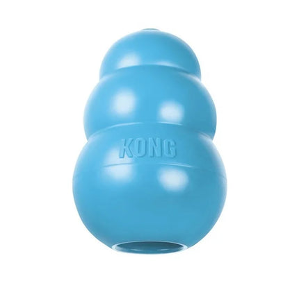Kong puppy