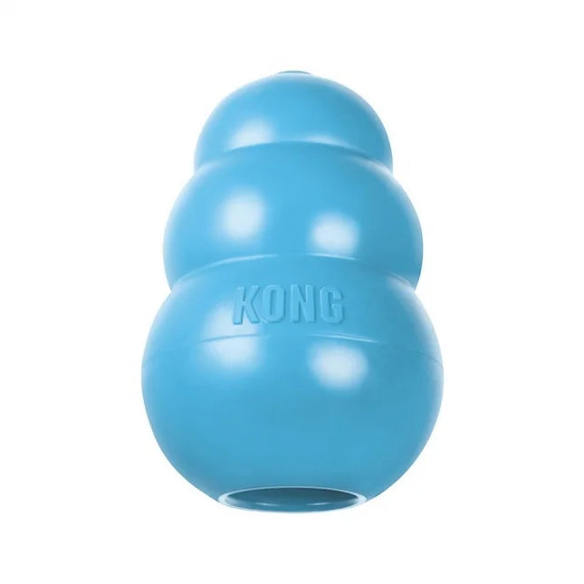 Kong puppy