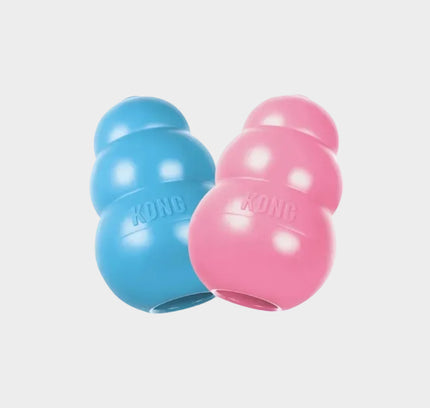 Kong puppy