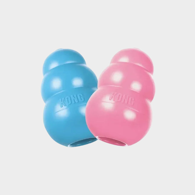 Kong puppy