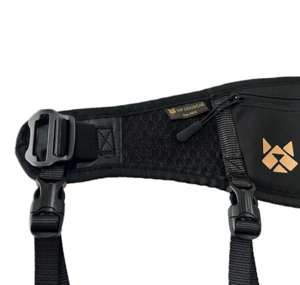 V.I.P Move Belt