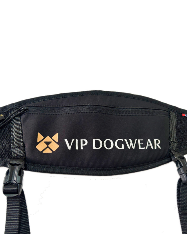 V.I.P Move Belt