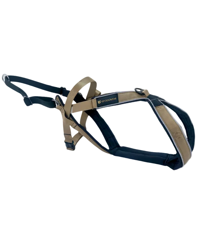 Multisport sele