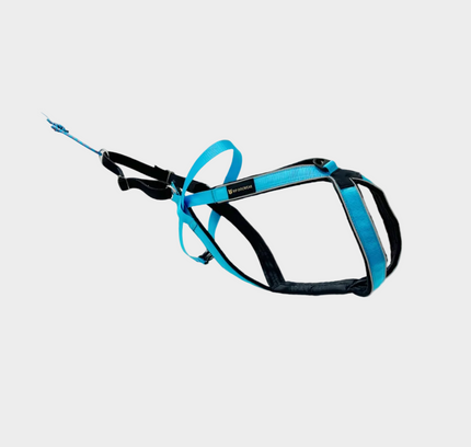 Multisport sele (Lang versjon)