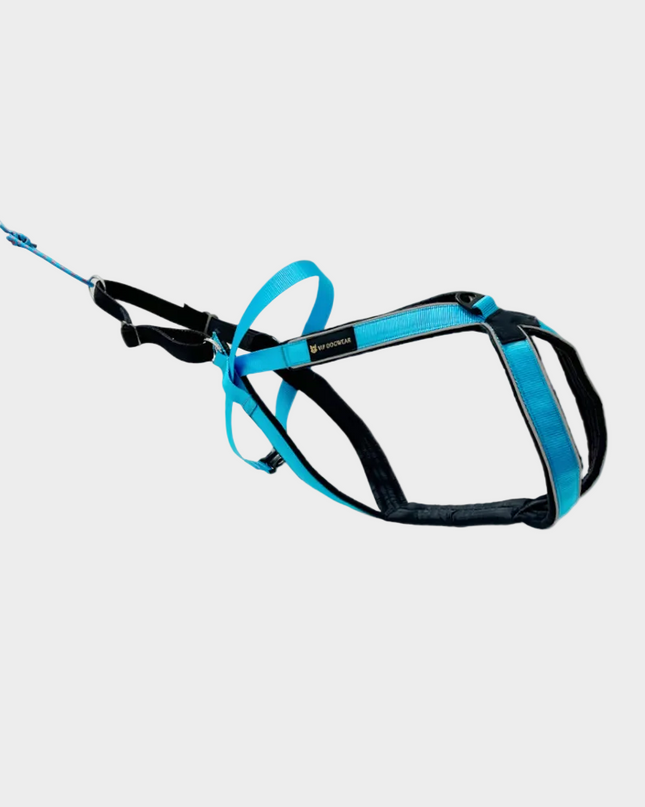 Multisport sele (Lang versjon)