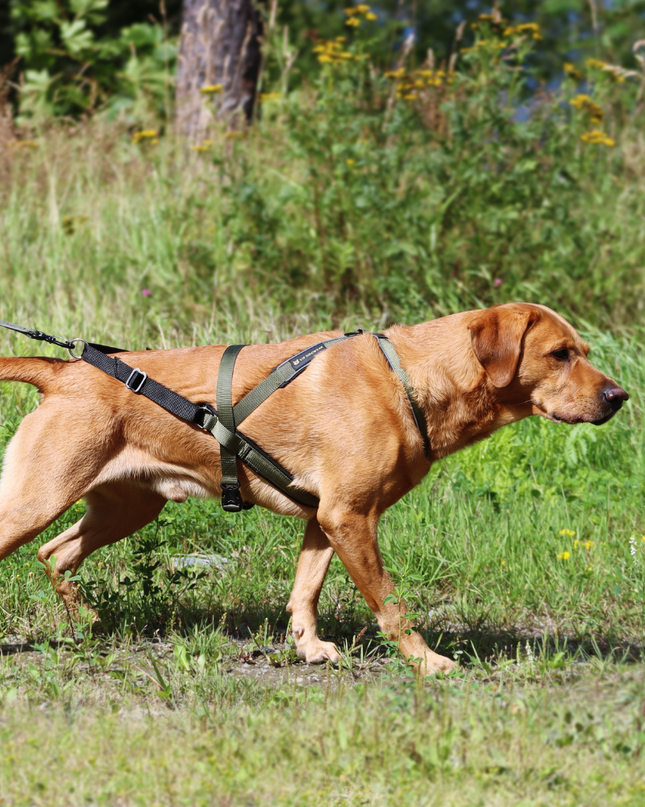 Multisport sele