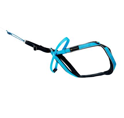 Multisport sele (Lang versjon)