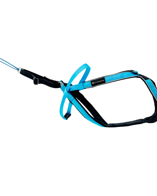Multisport sele (Lang versjon)