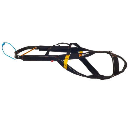 Nansen stick harness