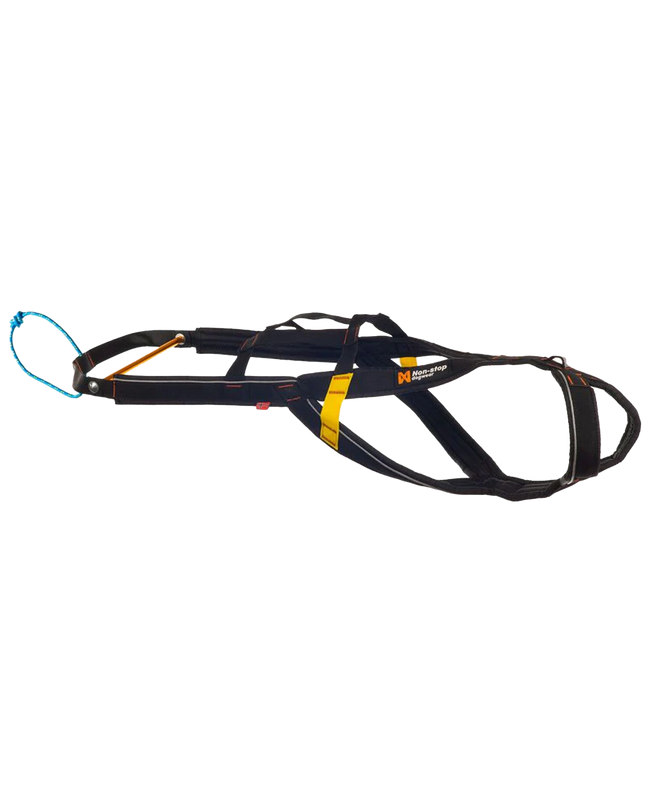 Nansen stick harness