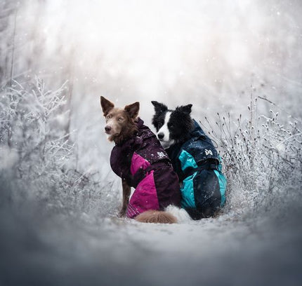 Glacier jacket 2.0