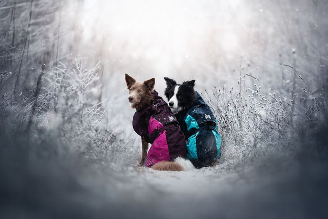 Glacier jacket 2.0