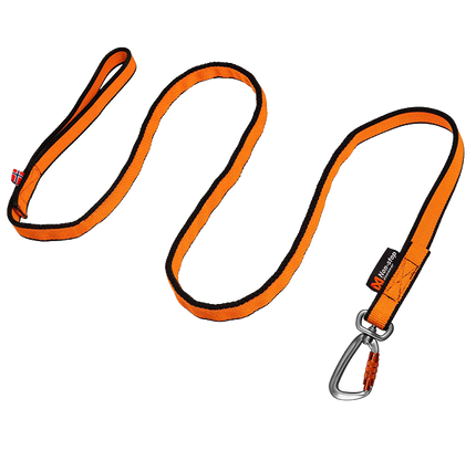 Bungee leash