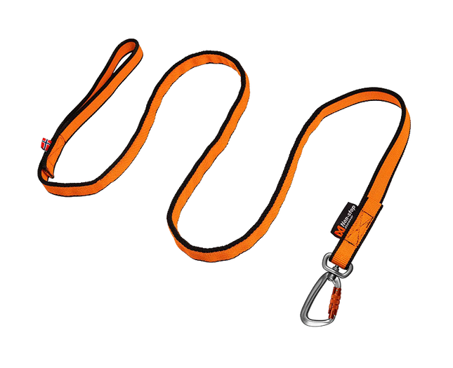 Bungee leash