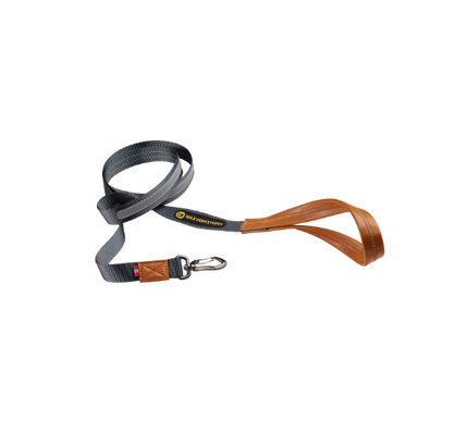 Link Dog Lead