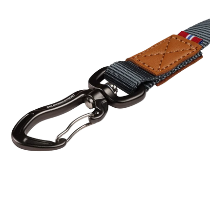 Link Dog Lead