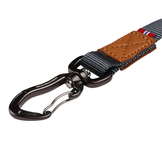 Link Dog Lead