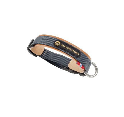 Secure Dog Collar