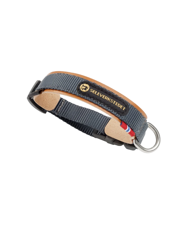 Secure Dog Collar