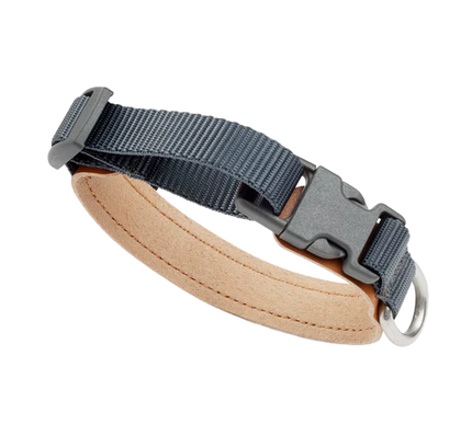 Secure Dog Collar