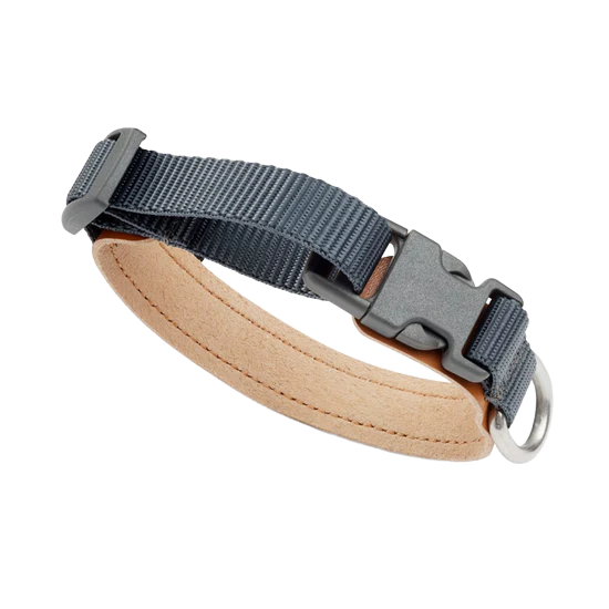 Secure Dog Collar