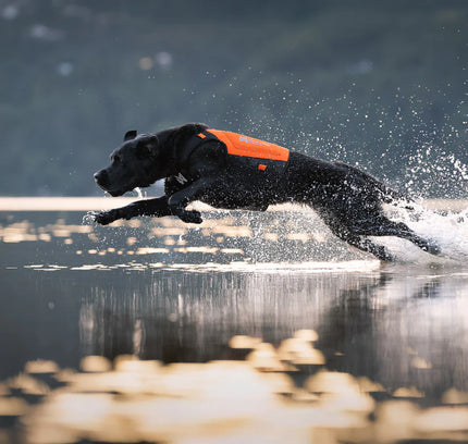 Protector neoprene vest