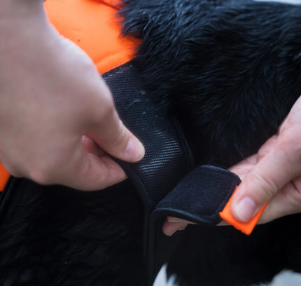 Protector neoprene vest